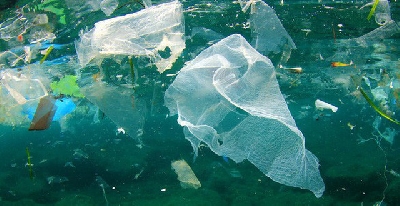 Cùng tìm hiểu rõ về vấn đề nhiễm độc nhựa - oại chứa thông tin về mức độ độc hại của từng loại.

Pháp thông qua lệnh cấm đồ tiện ích bằng nhựa
Chất BPA trong hộp nhựa gây vô sinh nam
Ẩn họa từ đồ dùng bằng nhựa
Việc dùng lạ