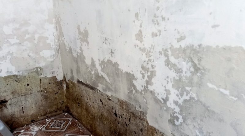  Cách xử lý trần nhà tường nhà bị ẩm mốc hiệu quả